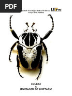 Coleta e Montagem de Insetos