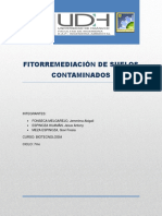 271303720-Trabajo-de-Fitorremediacion.docx