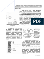 Estratoylamina.pdf
