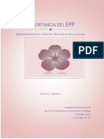 228669863-Importancia-Del-Equipo-de-Proteccion-Personal.docx