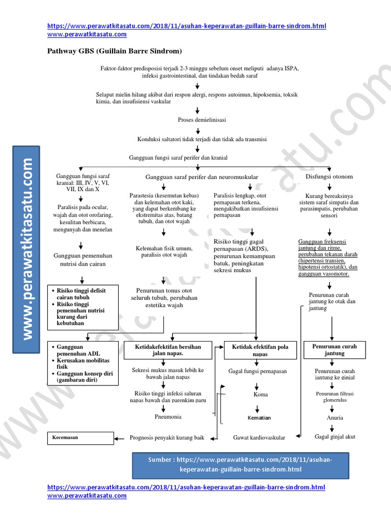 Pathway Guillain Barre Sindrom Gbs Pdf