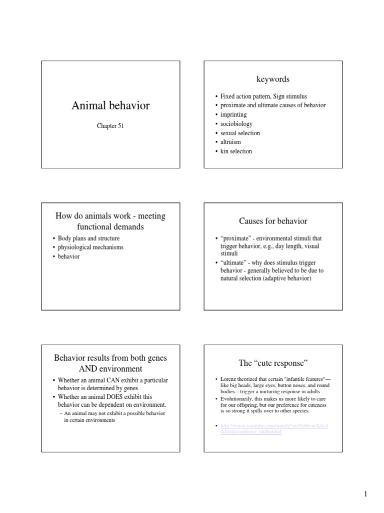 Animalbehavior PDF | PDF | Ethology | Organisms
