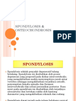 Spondylosis and Osteochondritis
