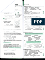 Gramática de Uso Del Español C1 PDF