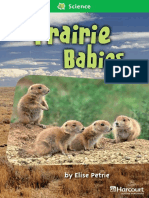 14 Prairie Babies