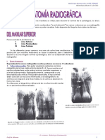 ANATOMIA-RADIOGRAFICA.docx