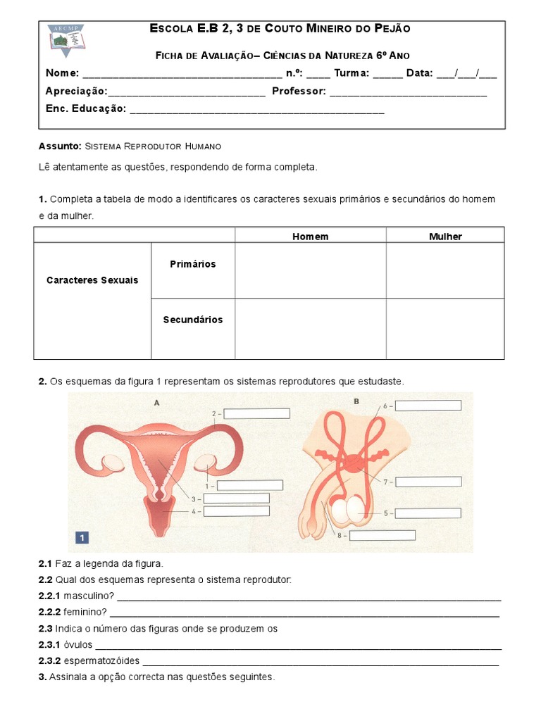 Atividades sobre o Sistema Reprodutor | PDF | Sistema reprodutivo ...