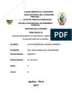 348718122-Jeorge-practica-Nº01-Anatomia-de-La-Madera.docx