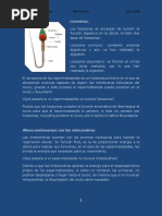 MIV U2 Act2 La Importancia de Los Organelos Celulares