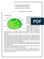 Determinación de clorofila en cloroplastos