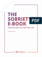 The Sobriety Ebook