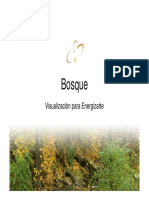Visualización para Energizarte - Bosque.pdf