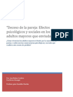 Seminario de Investigación Vejez y Duelo y Depresion