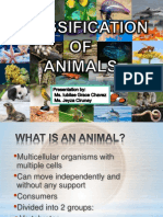 Classification of Animals Bio2)
