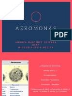 Aeromonas