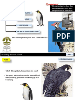 Aves 1 PDF