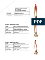 Extensor Compartement