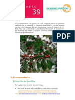 Procesamientodelcafe.pdf
