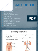 Anatomi Ureter-1