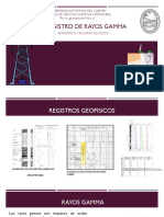 Registro de Rayos Gamma