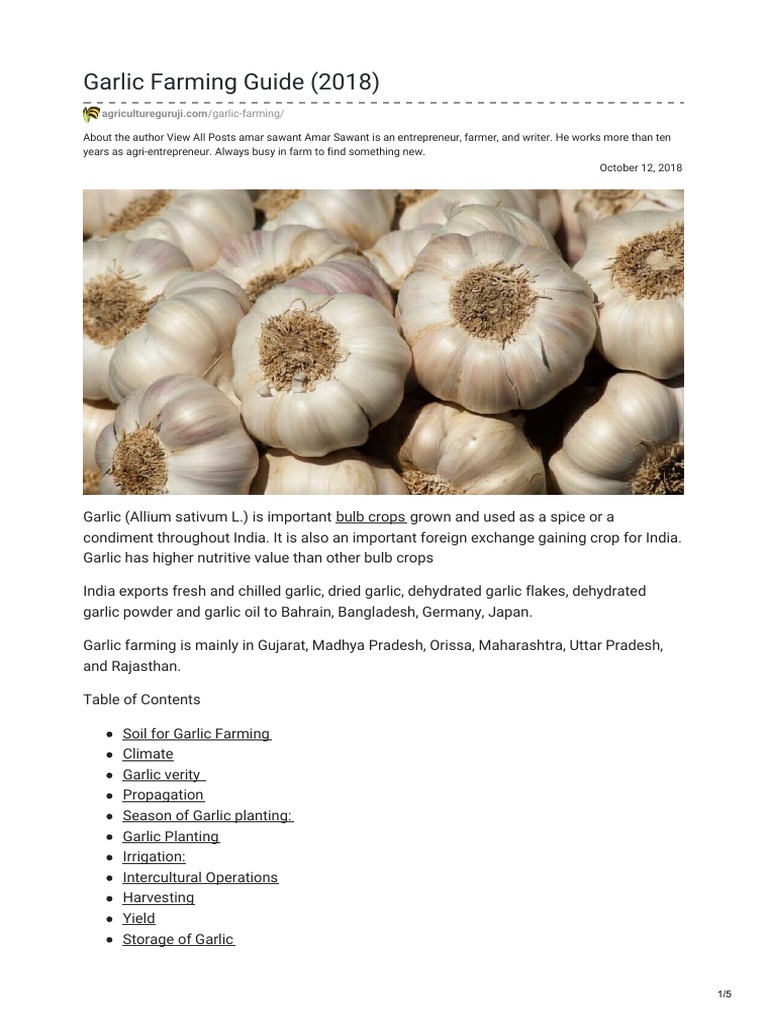 Garlic Farming Guide 2018 PDF Garlic Irrigation