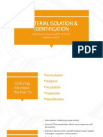 Bacterial Isolation and Identification