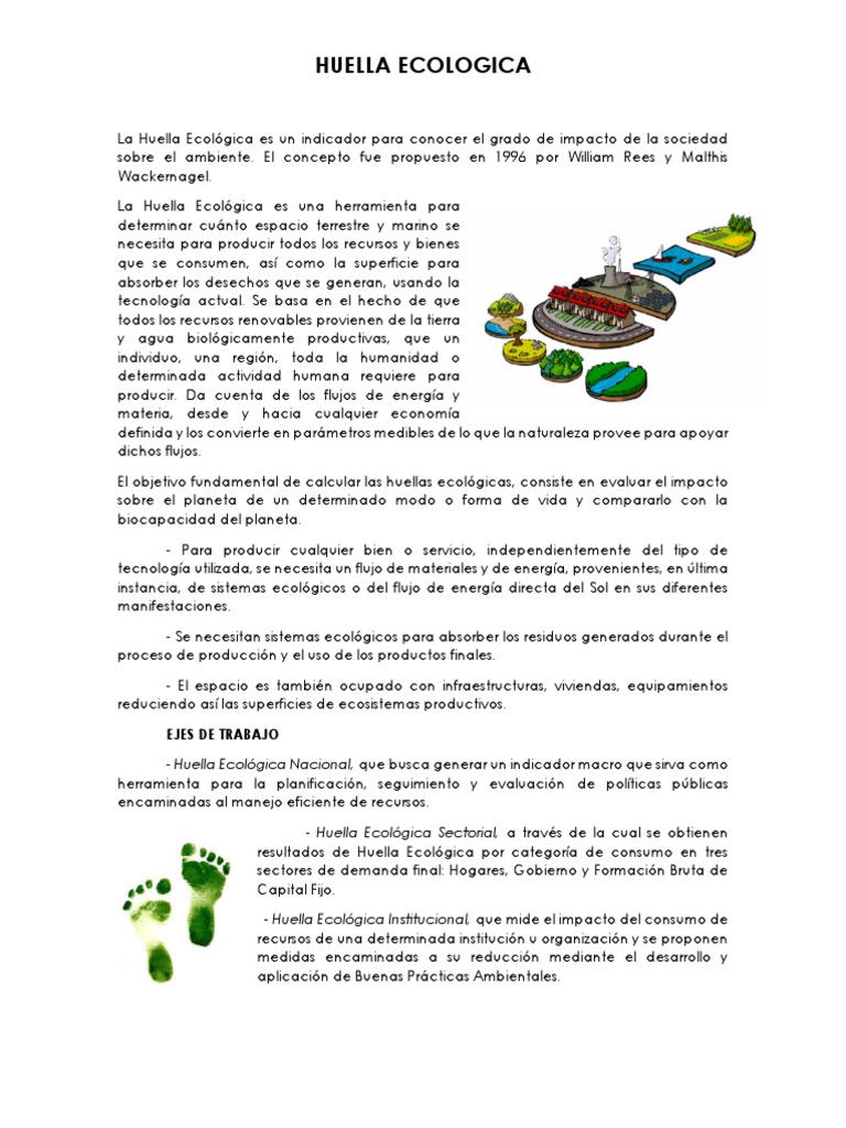 Huella Ecologica Resumen | PDF | Ecología | Residuos