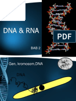 Chapter 2 - DNA & RNA