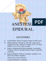 Anestesia Epidural