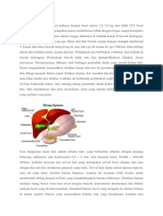 123465614-Anatomi-Hati.pdf
