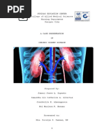 Case Study: Chronic Kidney Disease Care | PDF | Kidney | Kidney Disease