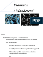 Plankton Notes PDF