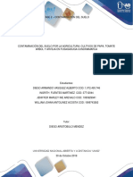 Fase 2 - Contaminacion Del Suelo Consolidado