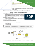 Microrganismos Eficientes Aumentam Fertilidade do Solo