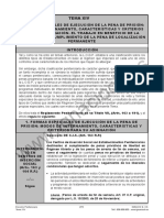 Tema14 Nuevo Penitenciario PDF