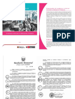 Programa Primaria Resumen.pdf