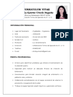 Curriculum Vitae Shirley Actualizado