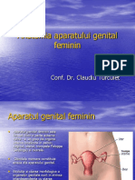 AP. Genital Feminin