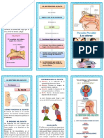 El Sentido Del Olfato PDF