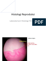 Histologi Reproduksi - 2012