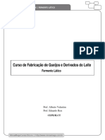 06 Fermento Lático PDF