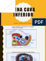 Vena Cava Inferior