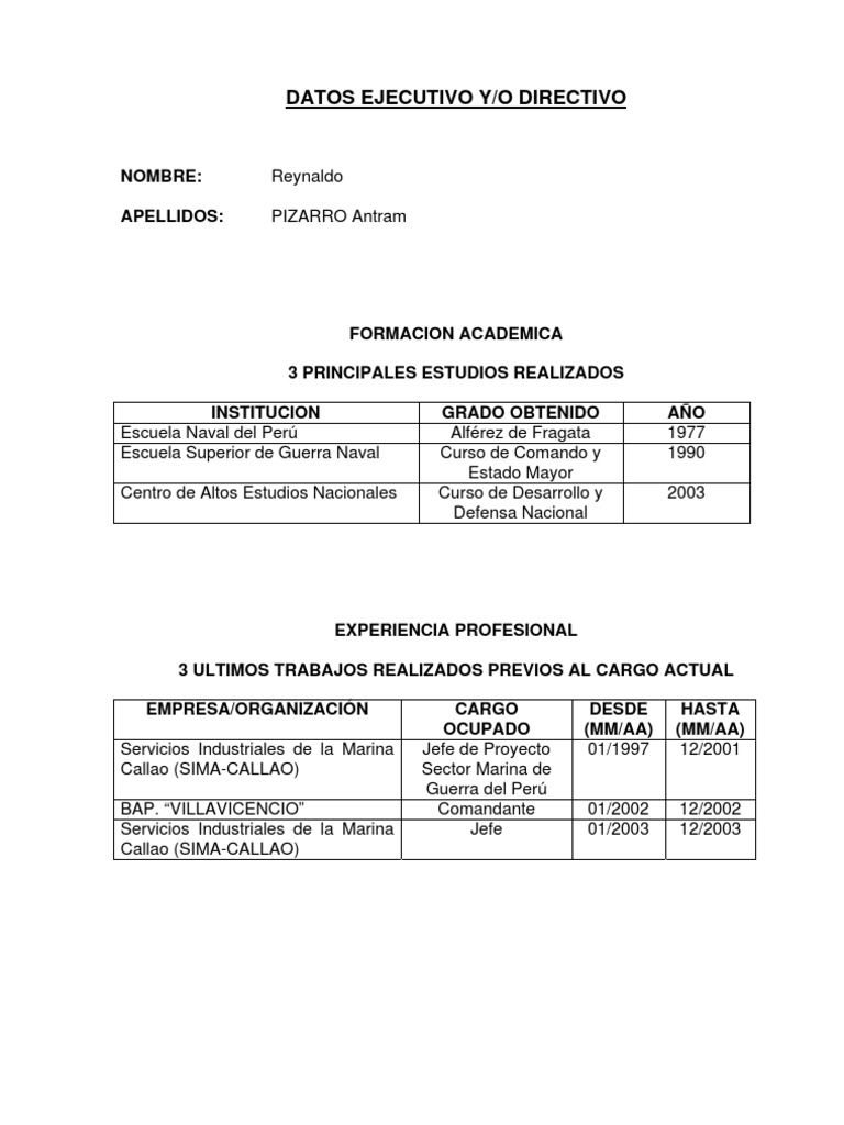 American cv sample image