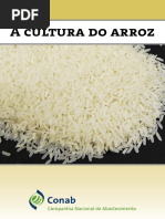 2015_-_A_Cultura_do_Arroz.pdf