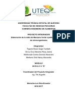 Elaboración de sidra de manzana verde utilizando microorganismos