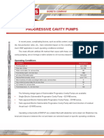Progressive Cavity Pumps PDF