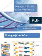 BASES MOLECULARES DE LA PRUEBA DE PATERNIDAD (1) (1).pptx