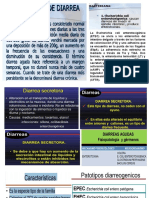 dIarrea por escherichia coli enterotoxigenica.pptx