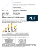 Cuál Es El Ciclo de La Vida de Los Seres Humanos