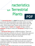 Characteristics of Terrestrial Plants